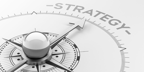 Estate-Master-Society-Corporate-Strategy