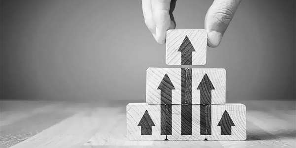 Estate-Master-Society-Evalutation-Strategy